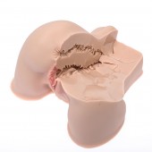 Мастурбатор-полуторс Naked Factory Kate - Naked Factory - во Владивостоке купить с доставкой