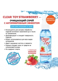 Очищающий спрей для игрушек CLEAR TOY Strawberry - 100 мл. - Биоритм - купить с доставкой во Владивостоке