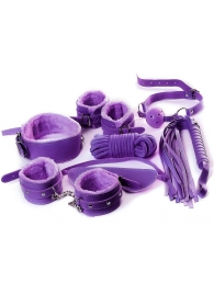 Фиолетовый набор БДСМ «Накажи меня нежно» с карточками - Штучки-дрючки - купить с доставкой во Владивостоке