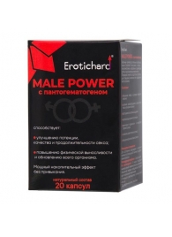 Капсулы для мужчин Erotichard male power с пантогематогеном - 20 капсул (0,370 гр.) - Erotic Hard - купить с доставкой во Владивостоке