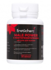 Капсулы для мужчин Erotichard male power с пантогематогеном - 20 капсул (0,370 гр.) - Erotic Hard - купить с доставкой во Владивостоке