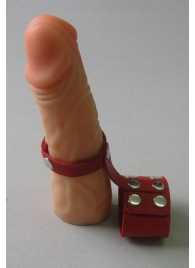 Красный кожаный поводок на пенис с кнопками - Sitabella - купить с доставкой во Владивостоке
