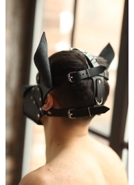 Эффектная маска собаки с металлическими заклепками - БДСМ Арсенал - купить с доставкой во Владивостоке