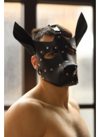 Эффектная маска собаки с металлическими заклепками - БДСМ Арсенал - купить с доставкой во Владивостоке