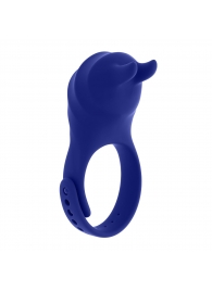 Синее эрекционное виброкольцо с клиторальной подушечкой и пультом ДУ Adjustable Fun Ring - Zero Tolerance - во Владивостоке купить с доставкой