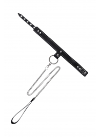 Черный узкий однослойный ошейник с серебристым поводком-цепочкой - Pecado - купить с доставкой во Владивостоке