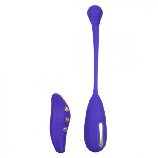 Фиолетовый шарик с электростимуляцией и вибрацией Intimate E-Stimulator Remote Kegel Exerciser - California Exotic Novelties - купить с доставкой во Владивостоке