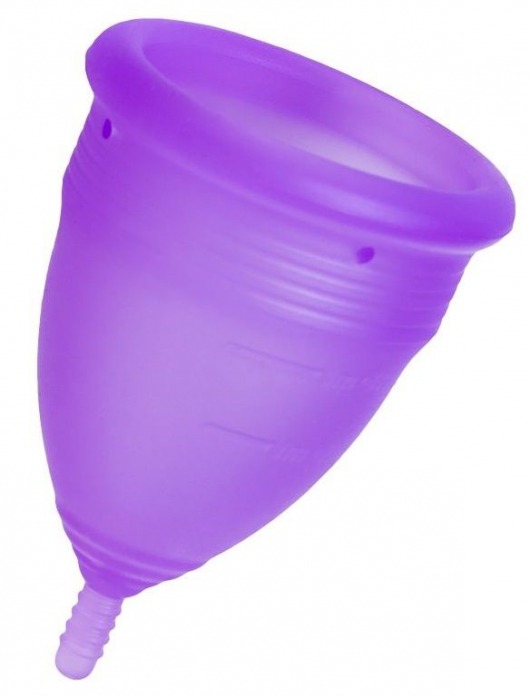 Фиолетовая менструальная чаша Lila L - Eromantica - купить с доставкой во Владивостоке