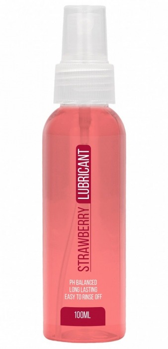 Лубрикант на водной основе с ароматом клубники Strawberry Lubricant - 100 мл. - Shots Media BV - купить с доставкой во Владивостоке