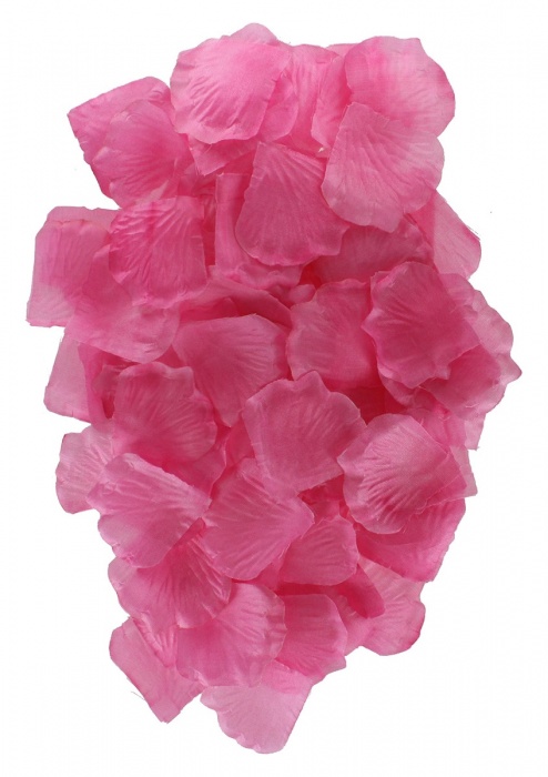 Эротический набор FANTASTIC PURPLE SEX TOY KIT - Toy Joy - купить с доставкой во Владивостоке