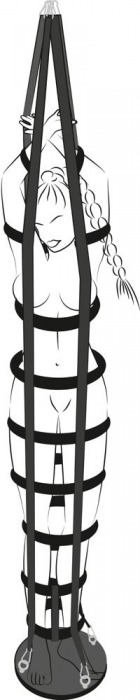 Подвесная клетка из ремешков Hanging strap cage - Orion - купить с доставкой во Владивостоке