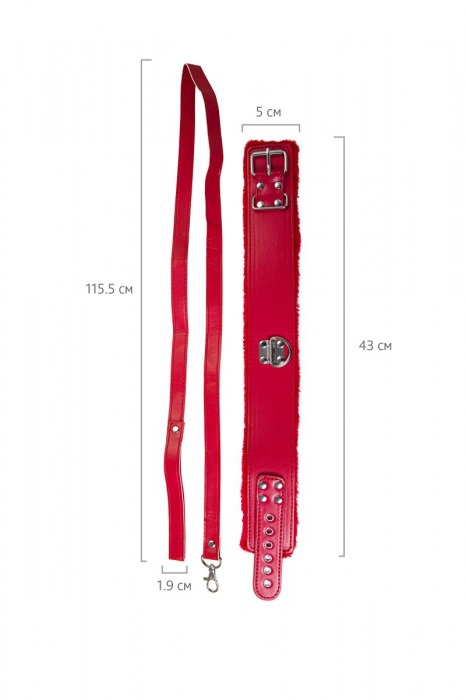 Красный ошейник с металлической фурнитурой - Toyfa Basic - купить с доставкой во Владивостоке
