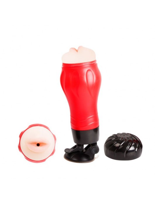 Мега-мастурбатор-ротик Flora - Baile - во Владивостоке купить с доставкой