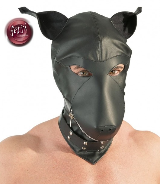 Шлем-маска Dog Mask в виде морды собаки - Orion - купить с доставкой во Владивостоке