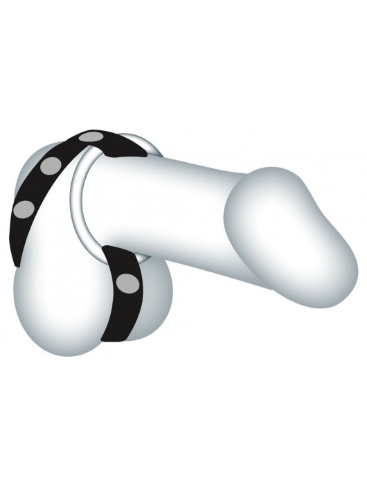 Подхват для мошонки с 3 съемными эрекционными кольцами Leder-Riemen - Orion - во Владивостоке купить с доставкой