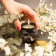 Массажная свеча Aphrodisia с цветочным ароматом - 70 мл. - Bijoux Indiscrets - купить с доставкой во Владивостоке