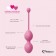 Набор из 3 розовых вагинальных шариков FemmeFit Advanced Pelvic Muscle Training Set - FeelzToys во Владивостоке Набор из 3 розовых вагинальных шариков FemmeFit Advanced Pelvic Muscle Training Set - FeelzToys